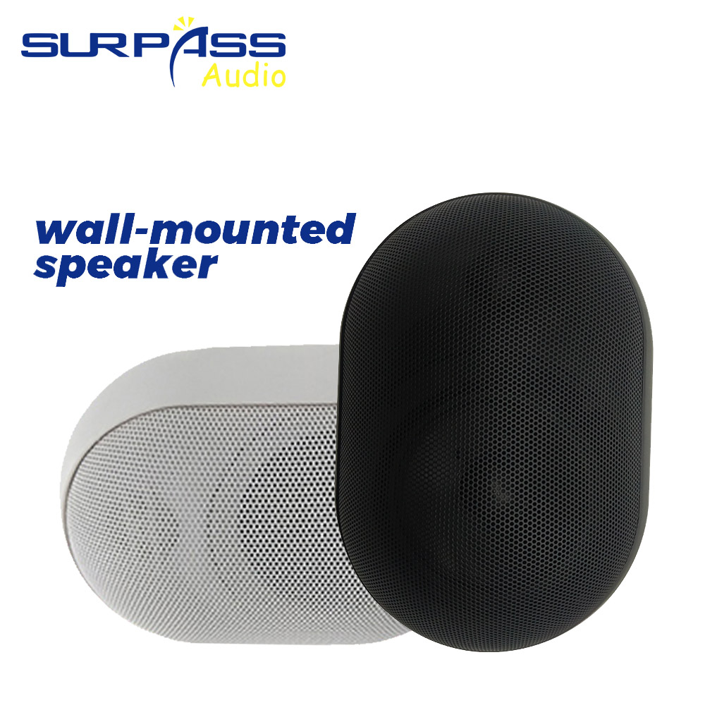 Audio Music Background - 30W Wandmontage Luidspreker Waterdicht IP55 Omroepinstallatie