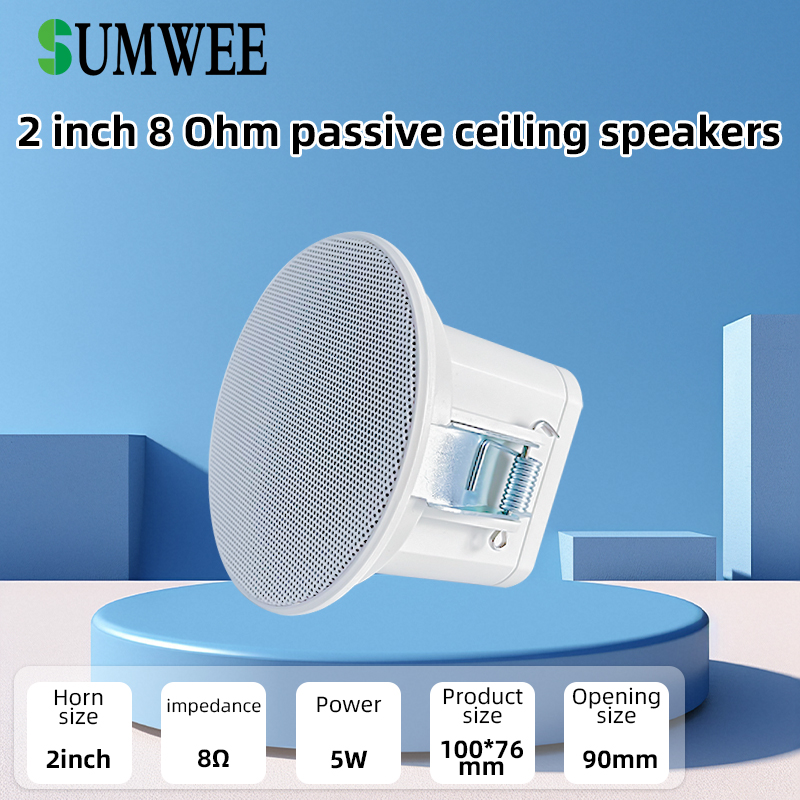 Audio Music Background - 2 inch mini 8 ohm plafondluidspreker