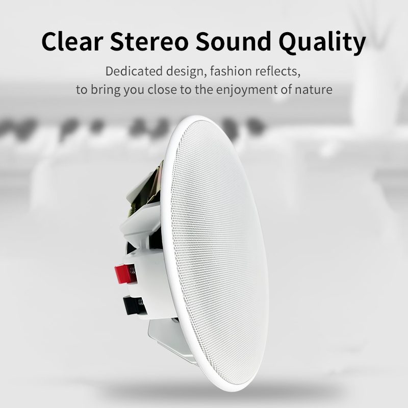 6 inch 8ohm plafondluidspreker - Audio Music Background recensie en prijs