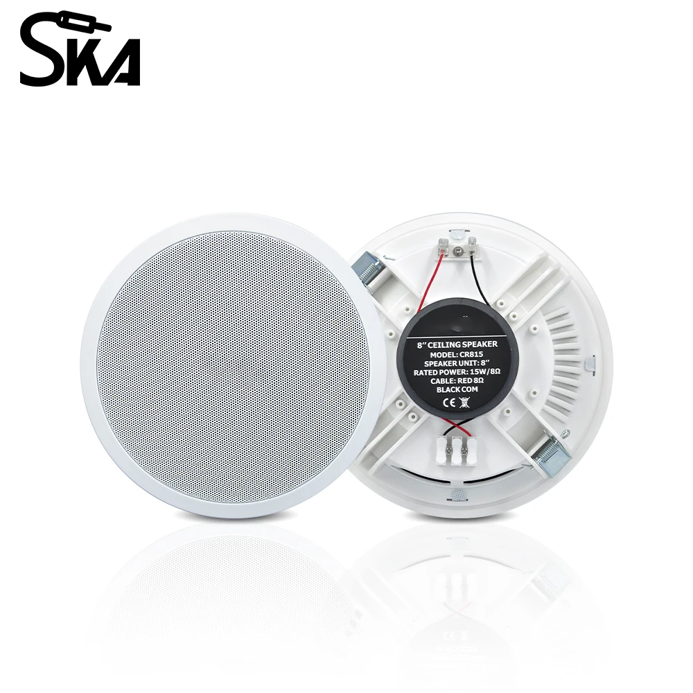PW4420T+CR815 Smart Home Audio - Audio Music Background recensie en prijs