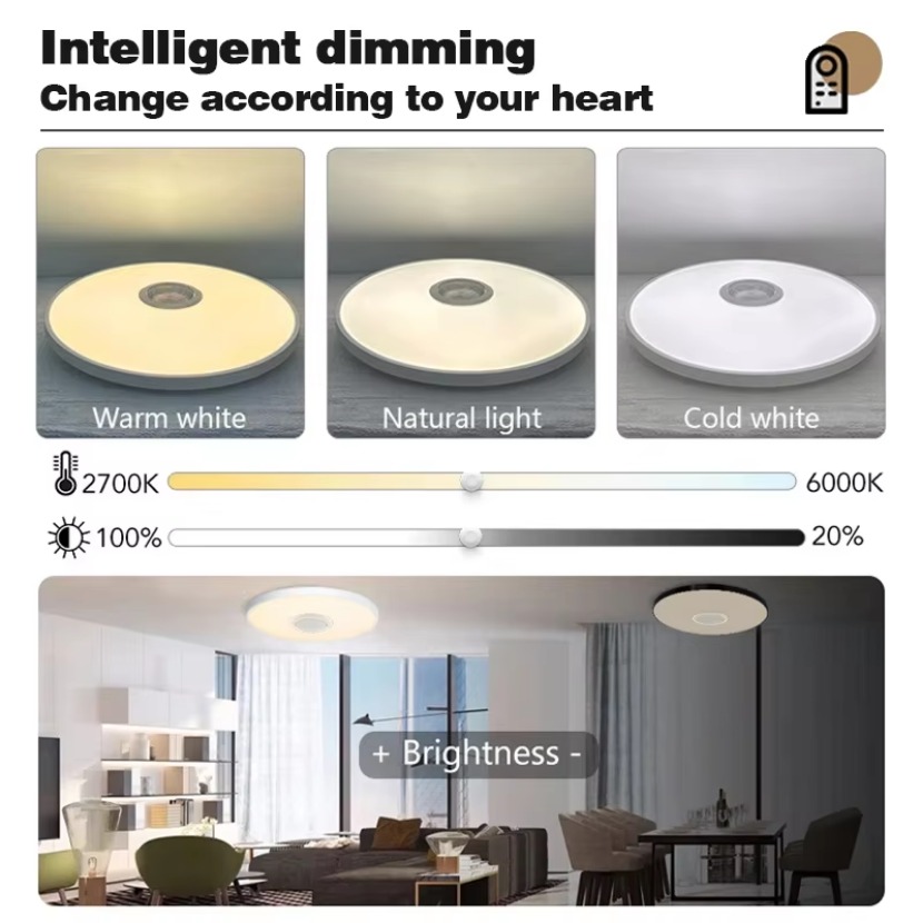 TUYA Smart Music Plafondlamp L - Audio Music Apps recensie en prijs