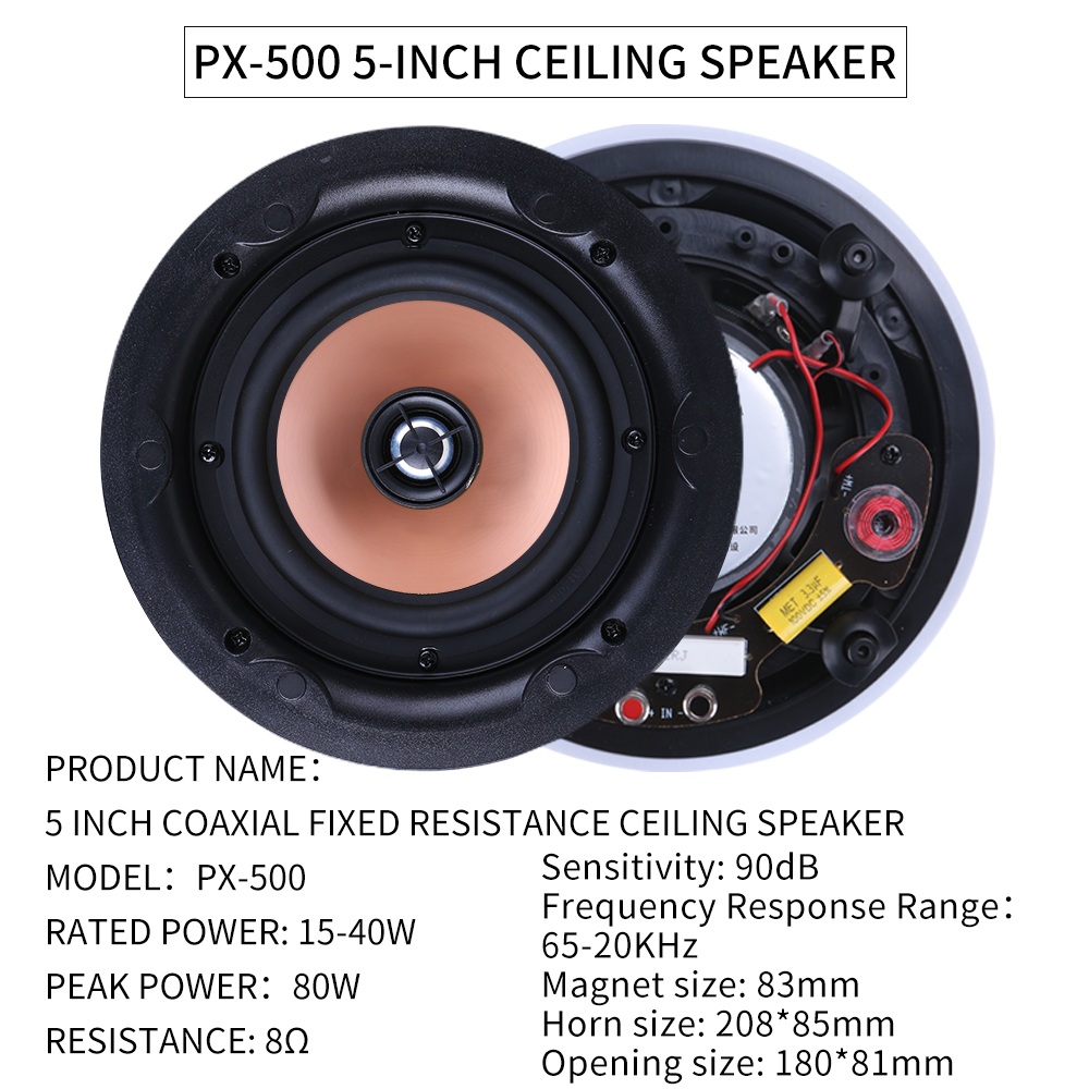 5.1 Home Theater Plafondluidsp - Audio Music Background recensie en prijs