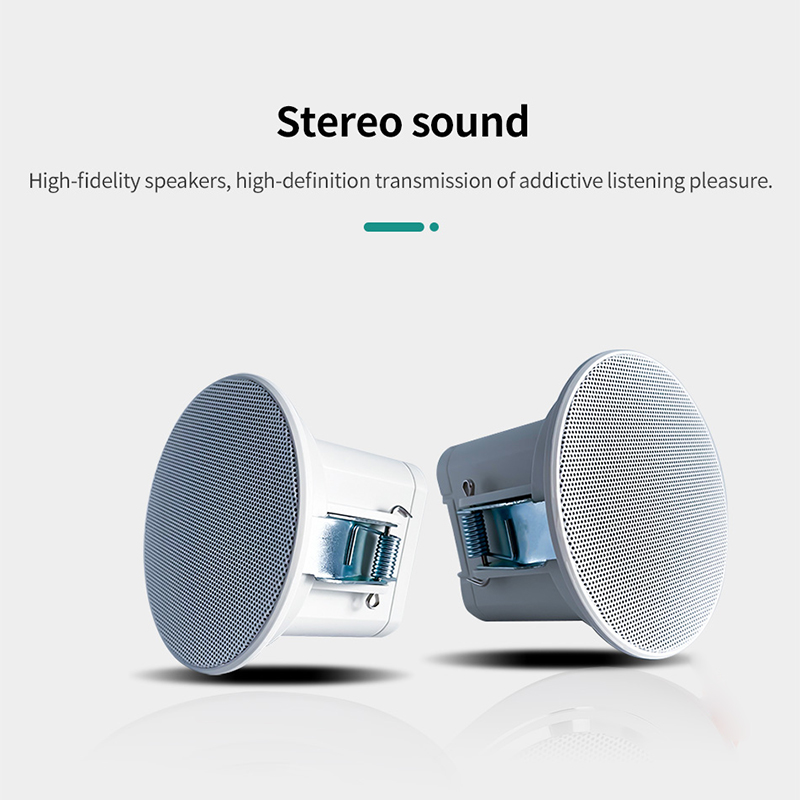 2 inch mini 8 ohm plafondluids - Audio Music Background recensie en prijs