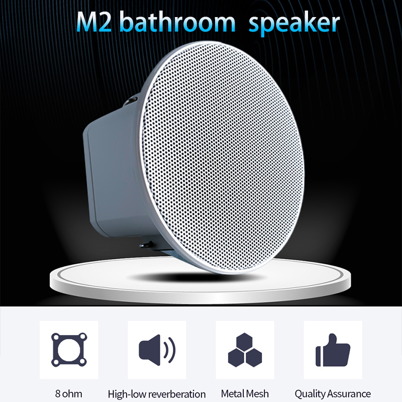 2 inch mini 8 ohm plafondluids - Audio Music Background recensie en prijs