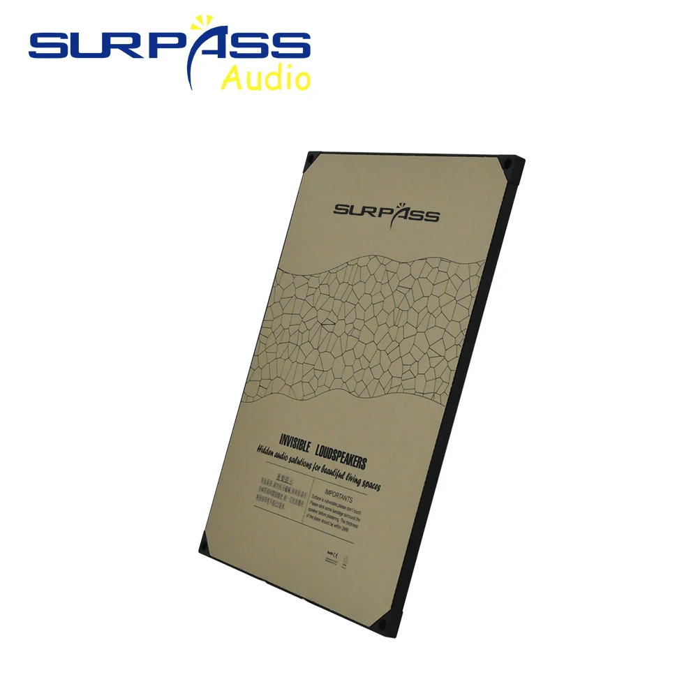 20W onzichtbare binnenluidspre - Audio Music Background recensie en prijs